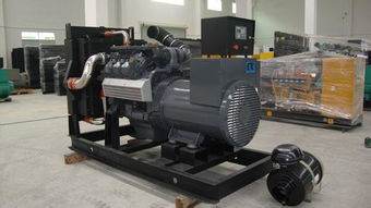 大宇發(fā)電機技術(shù),優(yōu)質(zhì)的發(fā)電機供應